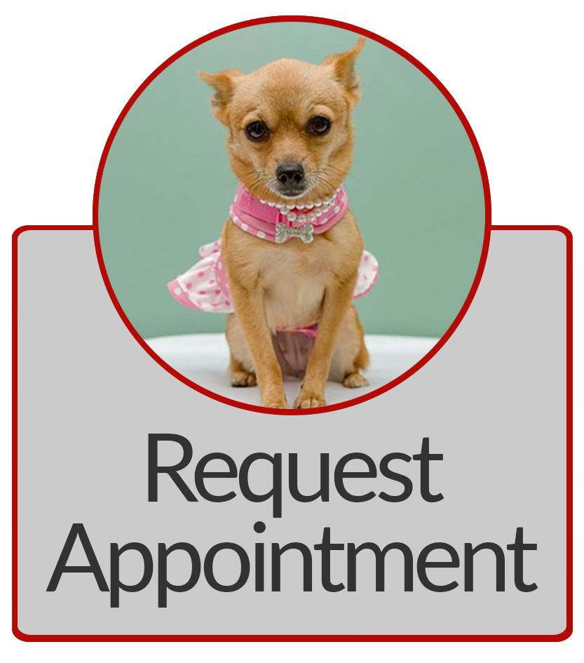 Request%20Appointment3